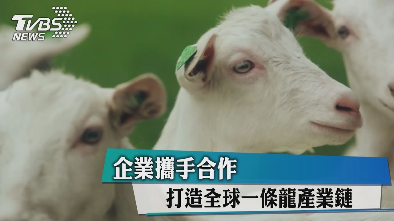 企業攜手合作 投資乳品 打造全球一條龍產業鏈
