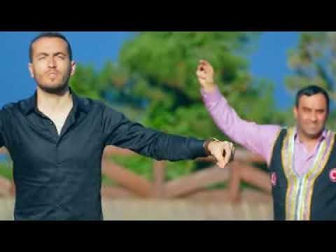 Erik Dalı Gevrektir - Erik dalı