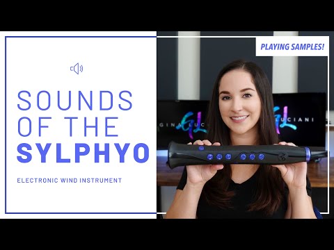 Aodyo Sylphyo Wind Controller + Link + Case | Reverb