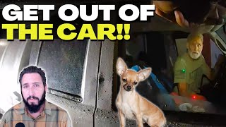 Everyone Gets Tased, Including the Chihuahua!