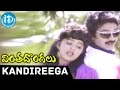 Vinta Dongalu Songs Kandireega Kuttenamma Video Song Rajasekhar Nadhiya Chakravarthy