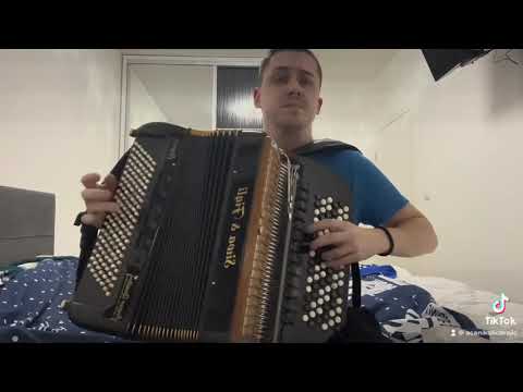 Aca Nikolic Brajic / Jovica Petkovic 🔥