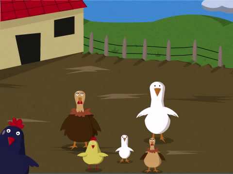 Rock and roll des gallinacés