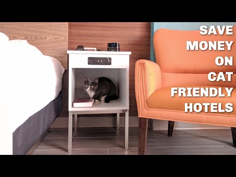 Cat-Friendly Hotels | 5 Ways To Save $$$