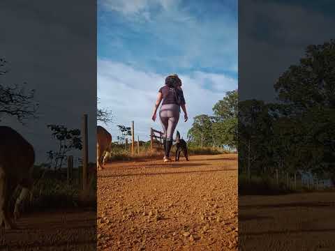 Caminhada sertaneja Comunidade Santa Rita município Vianópolis Goiás Brasil