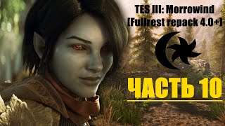 TES III: Morrowind [Fullrest repack 4.0+] #10. На пути в Балмору-1