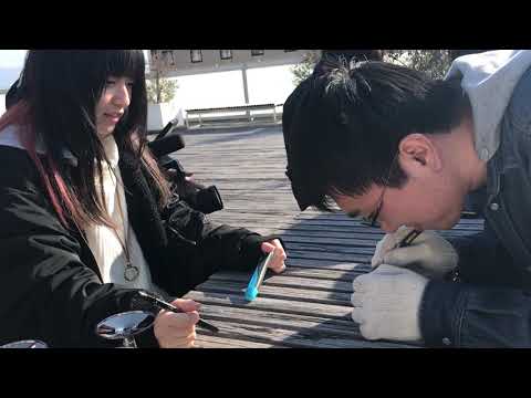 2023年の干ばつに対する制限レベル