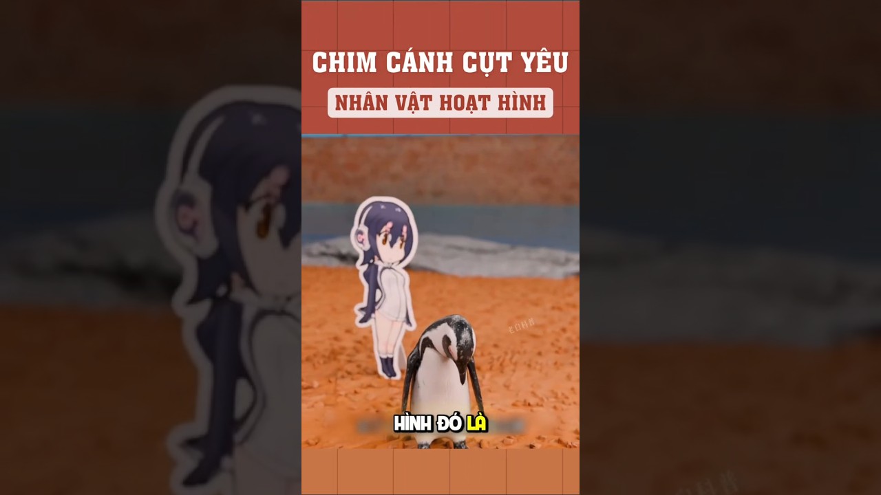 Chim cánh cụt yêu nhân vật hoạt hình