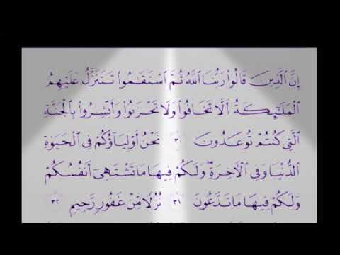 Qori internasional H muammar za