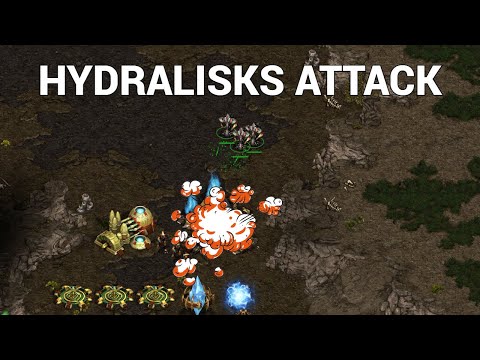 StarCraft 1: WHEN ZERG ATTACKS - Bonyth vs Sziky Part 3 | RISS