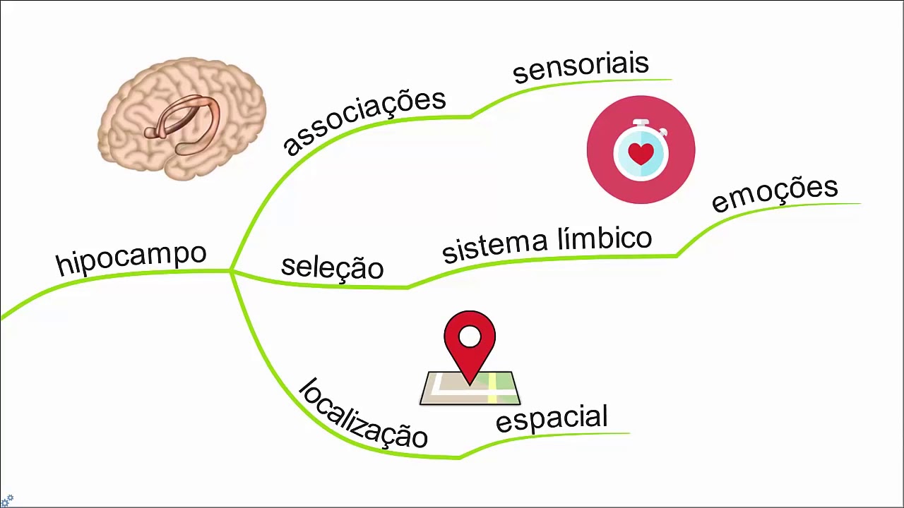 Memórias de curto, médio e longo prazo (Ana Lopes, Mais Aprendizagem)