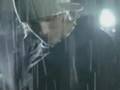 Mcfly - surfer babe