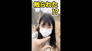 つまむ? #shorts #tiktok #google