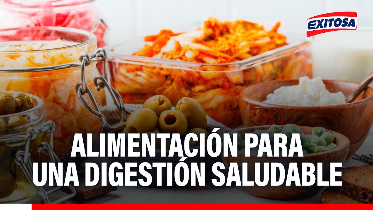 🔴🔵 Alimentación para una digestión saludable y los beneficios de los probióticos