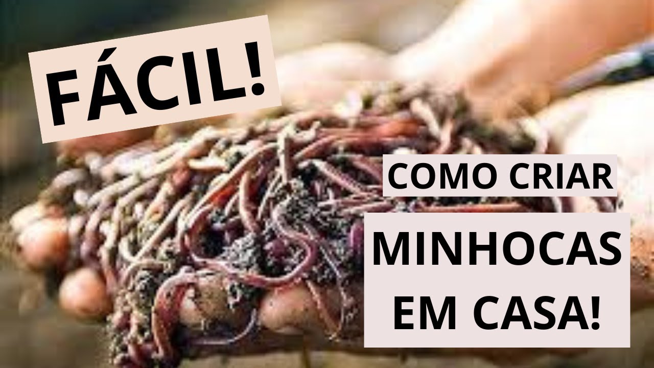 Criação de MINHOCAS em casa! TENHA E PESQUE SEMPRE!
