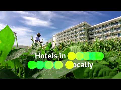 在這些古巴酒店用新鮮草藥度假 (Holiday with fresh herbs at these Cuban hotels)