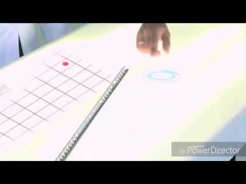 Sirin Sarkar Sirin's performance