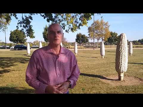 Dublin Arts Council’s David Guion