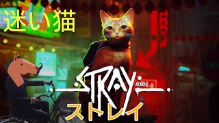 #1【Stray】迷い猫　うまにく迷子配信