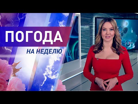 Погода на неделю 1-7 марта 2021. Прогноз погоды. Беларусь | Метеогид