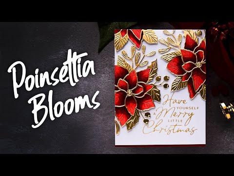 Poinsettia Blooms How-To