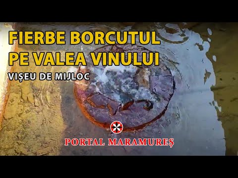Fierbe borcutul pe Valea Vinului