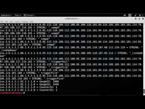 How to  Using Snmpwalk