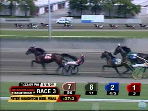 Peter Haughton Memorial