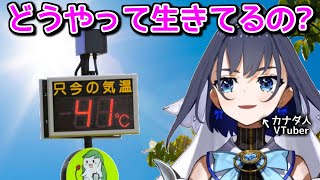 日本人をガチで心配し始めるクロニー【ホロライブ切り抜き / 英語解説】