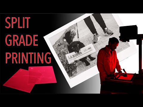 Darkroom split grade printing with Ilford Multigrade filters