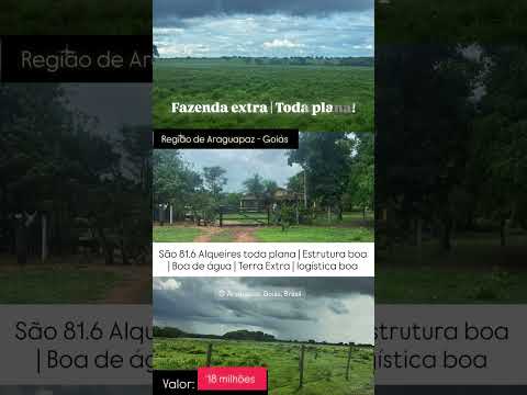81.6 Alqueires em Araguapaz GO | whatsapp 62 99373-6407
