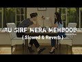 Tu Sirf Mera Mahboob Slowed And Reverb Song Ajnabee Adnan Sami Sunidhi Chauhan