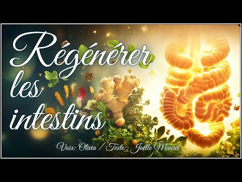 🌸 Guided Meditation - Regenerate and soothe the intestines, enlighten the mind - Reprogramming