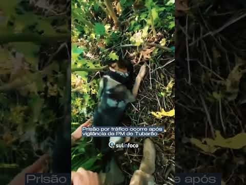 Jovem é preso por tráfico após vigilância da PM em Tubarão