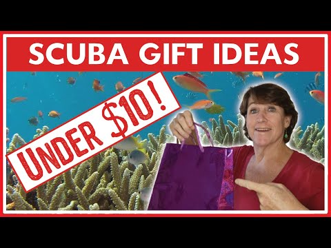 15 Useful Scuba Diving Gifts For Him Or Her - 2022 (Under $10!)