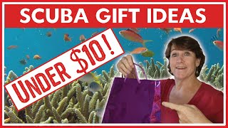 15 Useful Scuba Diving Gifts For Him Or Her - 2022 (Under $10!)