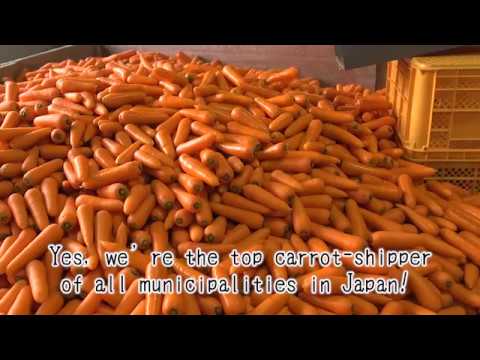 Tomisato - the delicious, delightful, and dynamic city (for Farm Experiences)