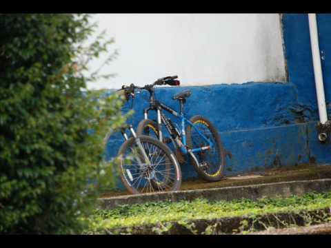 chama chuva ' o bicho que mata o homem