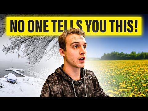 Here's what NO ONE tells you about Syracuse