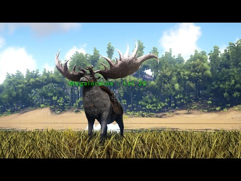 How to Tame a Megaloceros Ark
