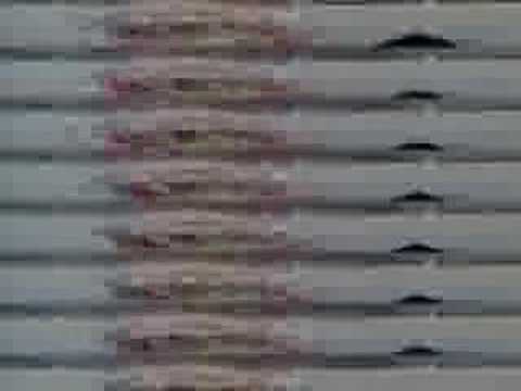 SASaKI HIROAKI LIVE The 2nd