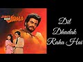 Jyoti Bane Jawala Dil Dhadak Raha Hai दिल धड़क रहा है Moh Rafi Kishore Kumar