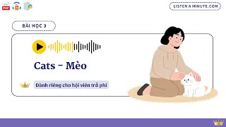 Bài 3 - Cats - Mèo