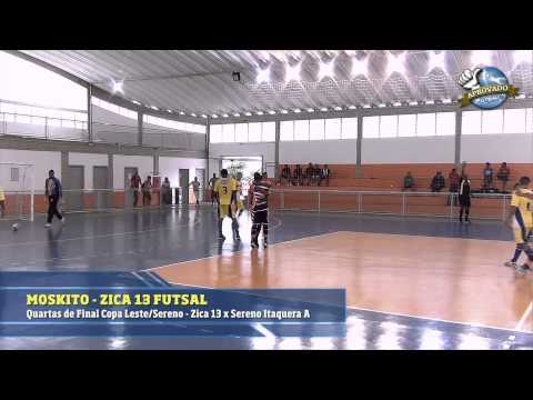 Selo de Qualidade - Moskito / Zica 13 Futsal