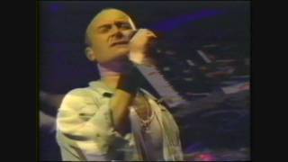 Phil Collins - Against all odds(take a look at me now) live in Peru 1995
