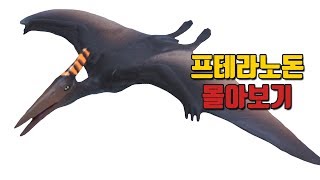 레오팡 공룡스페셜ㅣ프테라노돈 몰아보기 - 초식공룡 육식공룡 바다공룡 익룡 - 공룡노래 공룡동요 공룡송 키즈송 유아동요 동요