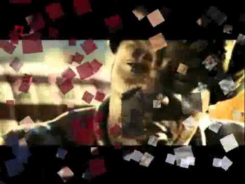 Realiteti ft.Endi-G - A pe shen 2011.wmv