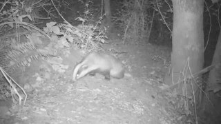 Geoffrey O'Connor - Centre Of The Room