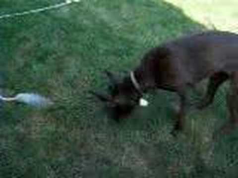 Nash meets the water hose