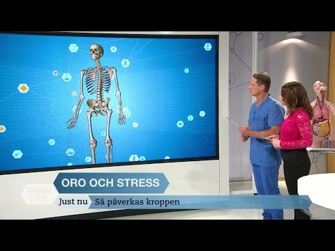 Detta händer i kroppen när du blir stressad - Dr Mikael & Tilde (Sjuan)